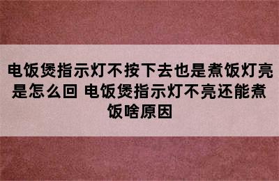 电饭煲指示灯不按下去也是煮饭灯亮是怎么回 电饭煲指示灯不亮还能煮饭啥原因